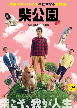 最近免费中文字幕mv
